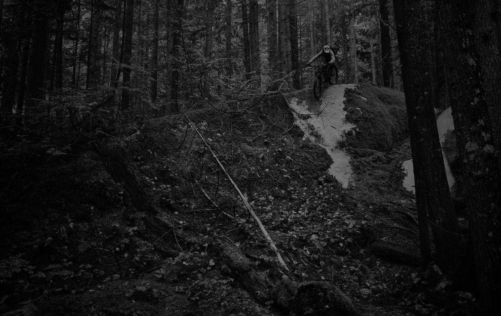 MoveRight-Squamish-mountain-biking-2-1920
