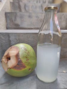 coconut kefir