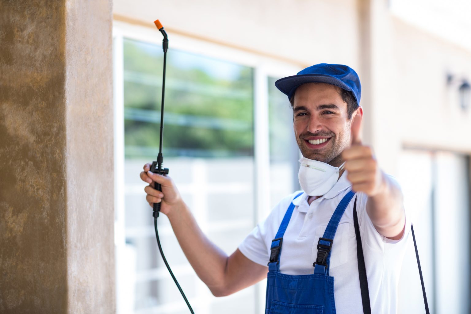 Pest Removal Services Near Me