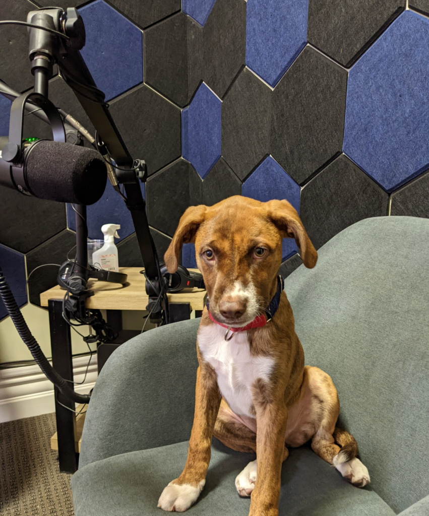 Our New Video and Podcasting Studio is Complete! 2 Pickle the Borador helps with a soundcheck