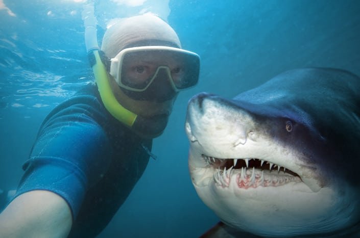 Sharks, selfies and selling: how to keep your focus in the right place