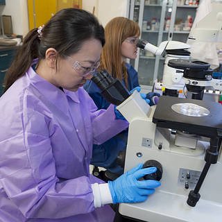 GeneLab Sample Processing Lab N-239 rm 128 with Yi-Chin Chen in foreground and Valery Boyko at the microscope.