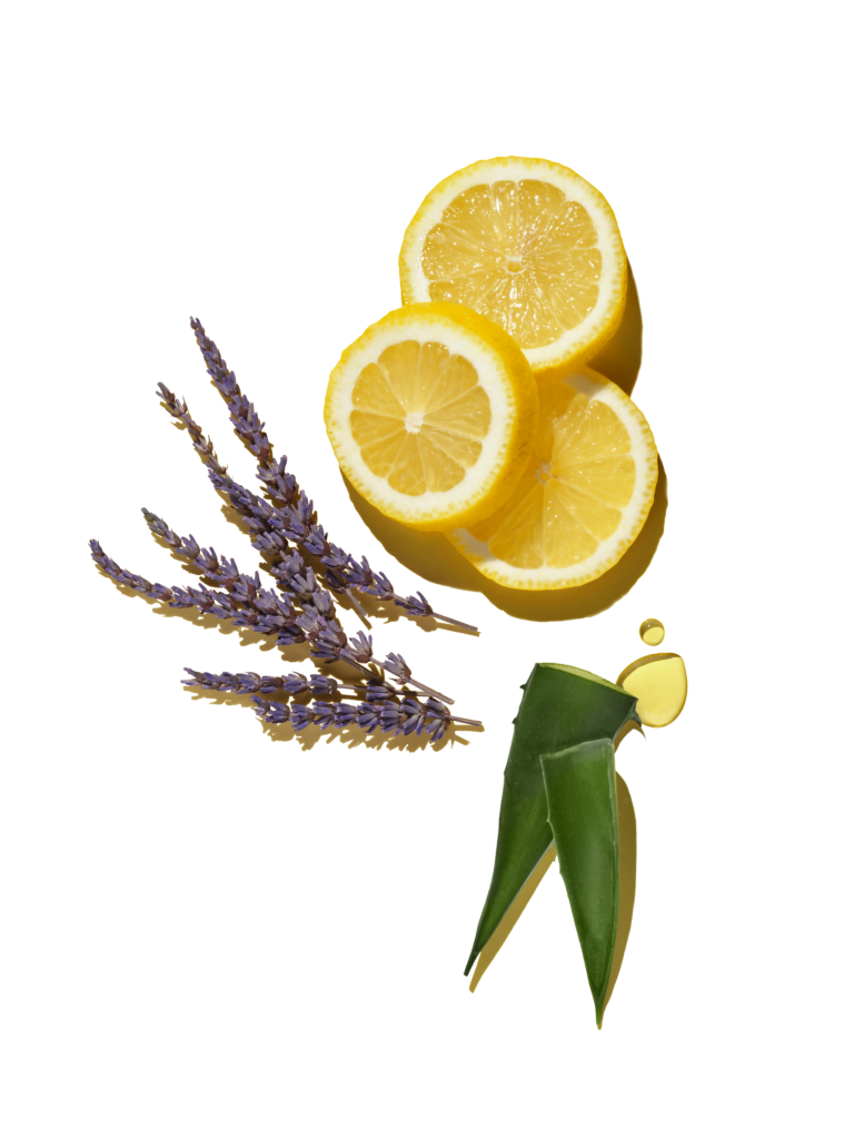 A photo of lemon, lavender, and agave