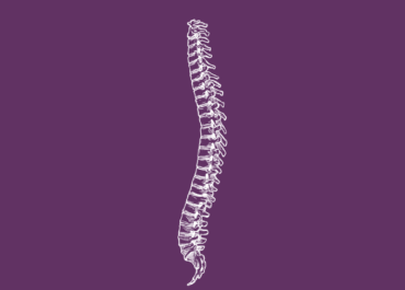 Cervical Spine