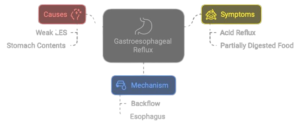 Understanding Gastroesophageal Reflux