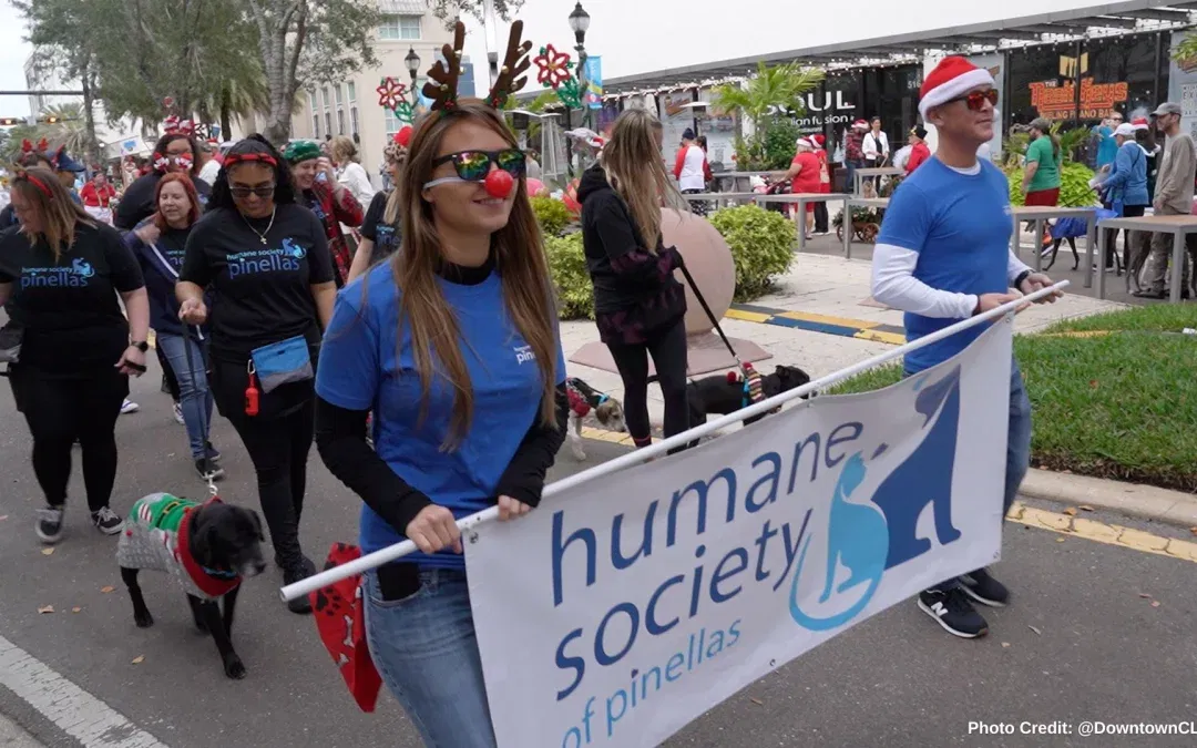 Humane Society of Pinellas Giving Pets a Home for the Paw-lidays!