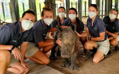 Caring for Over 1,000 Animals – ZooTampa Zookeepers