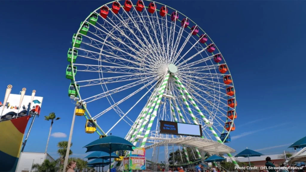 Big Berry Wheel at the fair