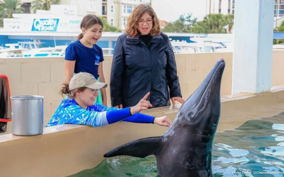 Tampa Bay Activities to do with Mom this Mothers Day