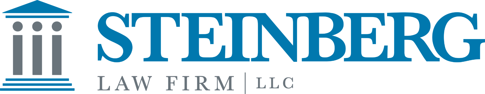 Steinberg Law Firm LLC Logo