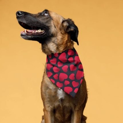 Dog Bandanas RED Heart Pattern 2