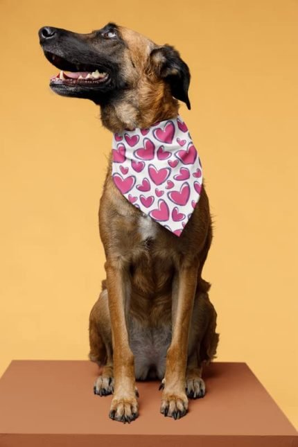 Dog Bandanas Pink Heart Large