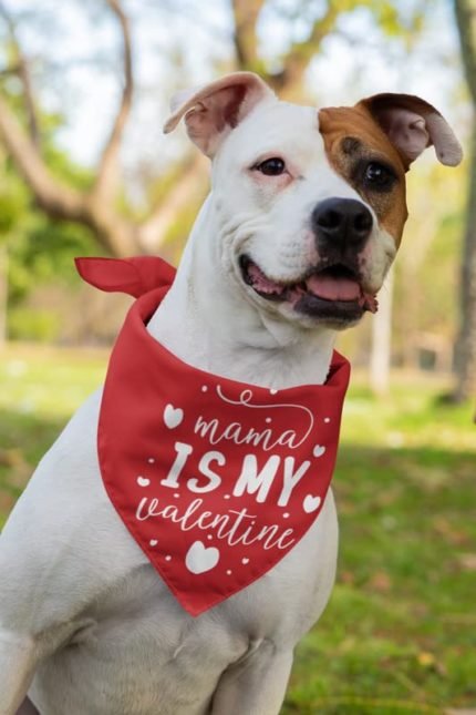 Mama Is My Valentine dog bandana
