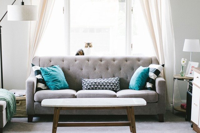 pandemic-proof decoration sofa