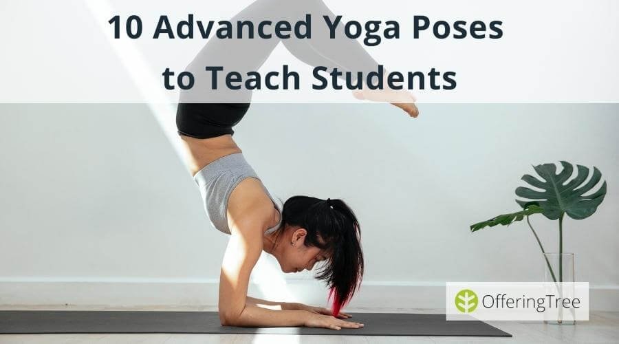 Hard Yoga Poses: 10 Advanced Yoga Poses to Teach Students