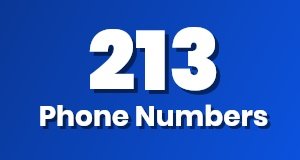 Get a 213 phone number today!