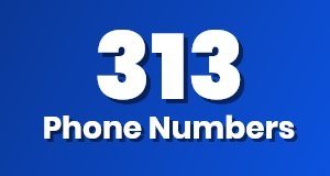 Get a 313 phone number today!