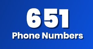 Get a 651 phone number today!