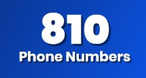 Get a 810 phone number today!
