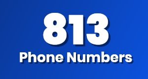 Get a 813 phone number today!