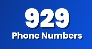Get a 929 phone number today!