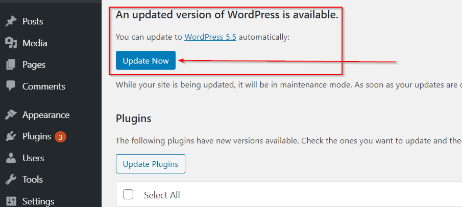 How To Update Your WordPress Website (Manually & Automatically)