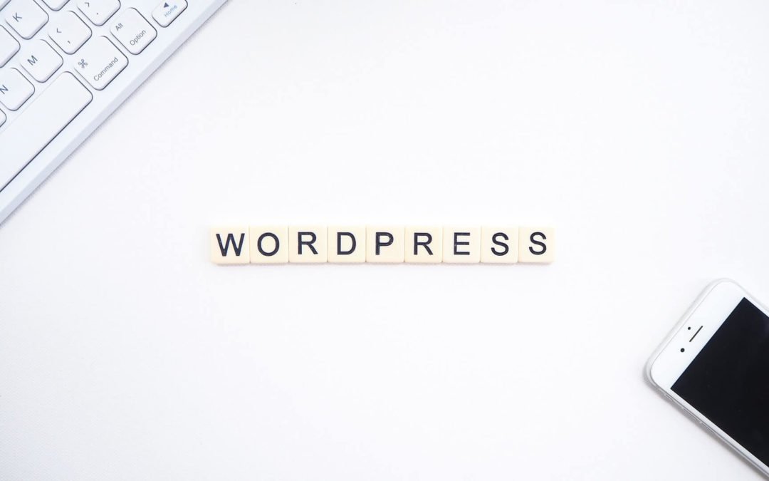 Wordpress login url
