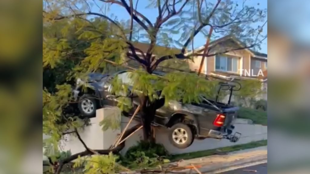 Truck ends up in tree after dramatic crash in Southern California - KTLA Los Angeles