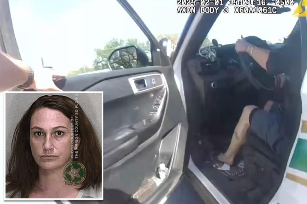 Florida woman steals deputy's patrol car, crashes into oncoming traffic killing herself and 2 others: video - New York Post