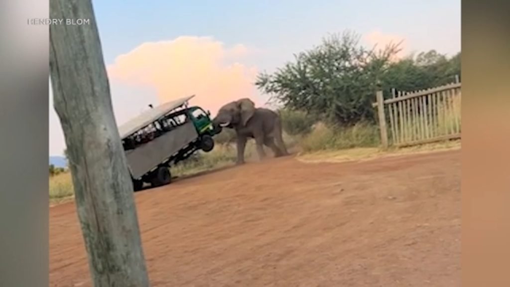 Video shows elephant bull lifting safari car into the air at Pilanesberg National Park in South Africa - KABC-TV