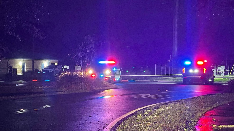 Child dead after being hit by car in Pensacola's Hitzman Park - WEAR