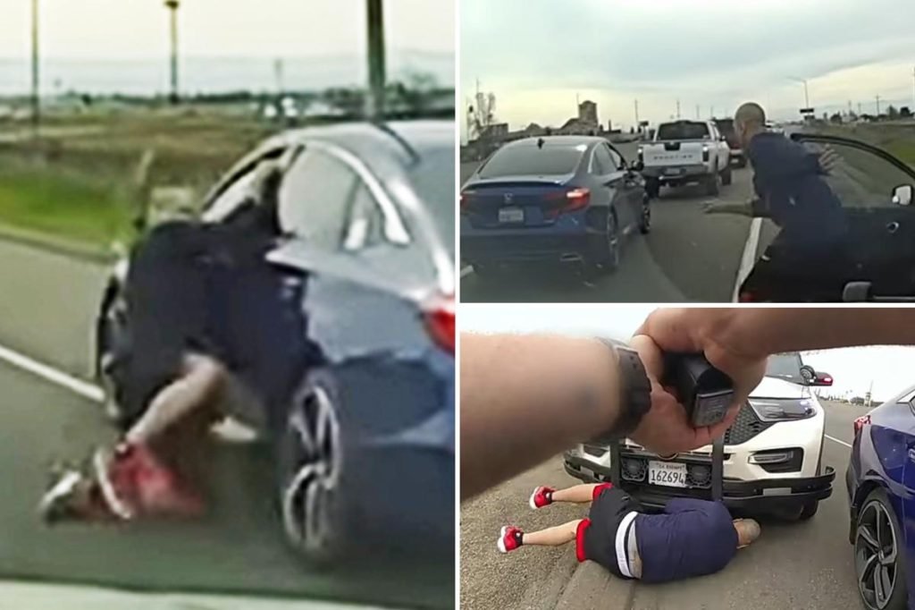 Felon clings to car door on highway trying to escape cops: video - New York Post