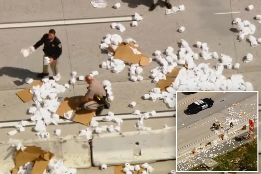 California highway clogged after hundreds of toilet paper rolls spill from truck - New York Post