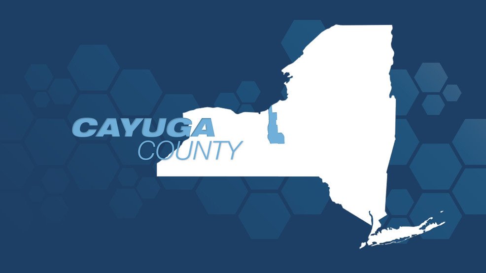 Three children injured in Cayuga County after truck collides with horse and carriage - CNYcentral.com