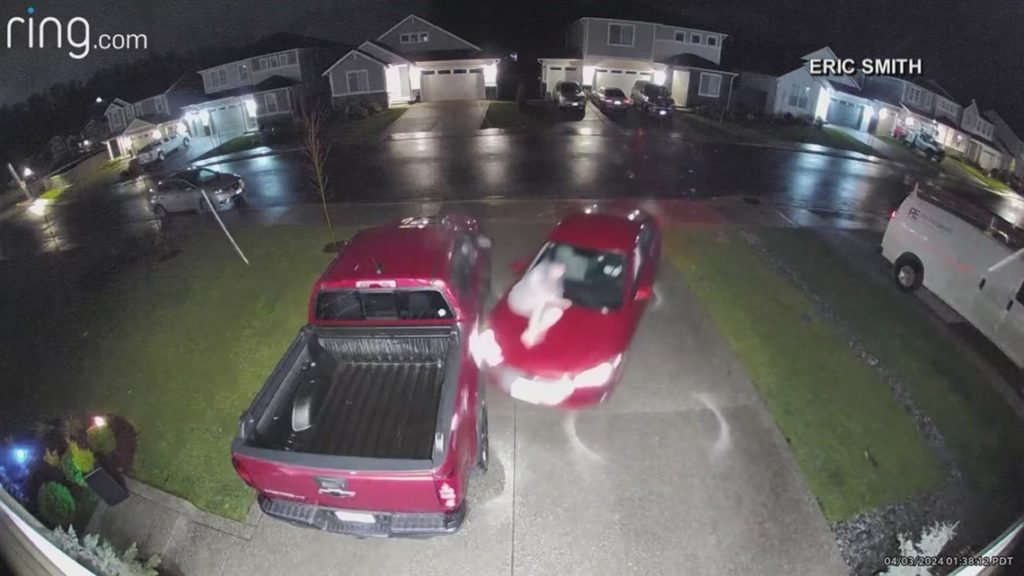 Surveillance video captures South Hill homeowner chasing away car thieves - KING5.com