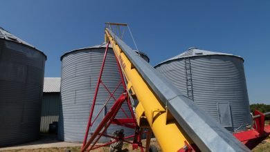 modern farm complex storing of grains